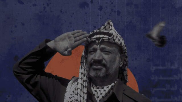 Looping preview of the WeshMedia Palestine motion piece